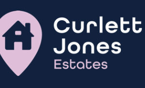 Case Study: Launching Two High-End Websites for Digital Media Guys